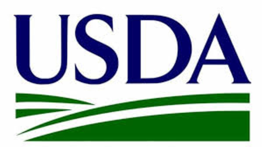 Relatório do USDA sinaliza preocupação no novo sistema de inspeção de suínos
