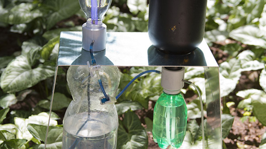 Pesquisador cria irrigador solar automático com garrafas usadas