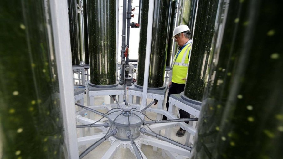 Produção industrial de biopetróleo poderá funcionar em três anos, em Portugal