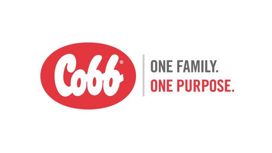 Cobb será a patrocinadora oficial do coquetel oferecido na entrega do Prêmio Quem é Quem