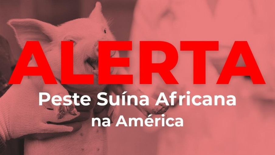 Alerta urgente sobre Peste Suína Africana na América