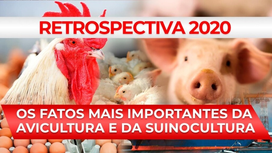 RETROSPECTIVA 2020 - Los hechos más importantes de la avicultura y suinocultura en Brasil