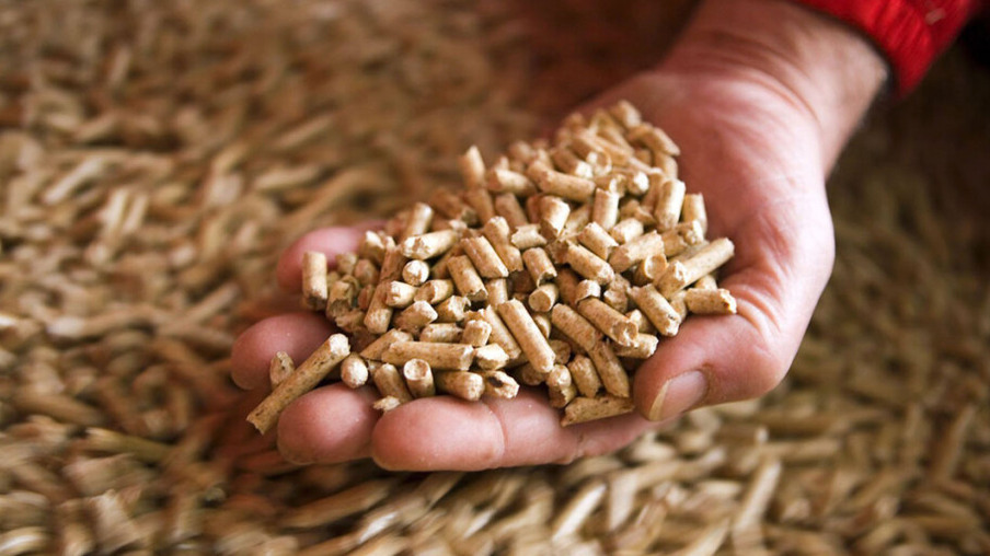 Projeto ibérico analisa qualidade da biomassa para uso mais barato pelas empresas
