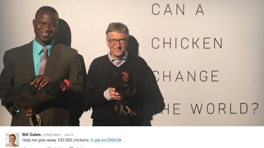 Bill Gates quer usar galinhas para reduzir fome na África
