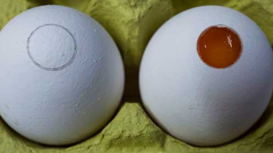 Teste que determina sexo do embrião em ovos chegará ao mercado no próximo ano