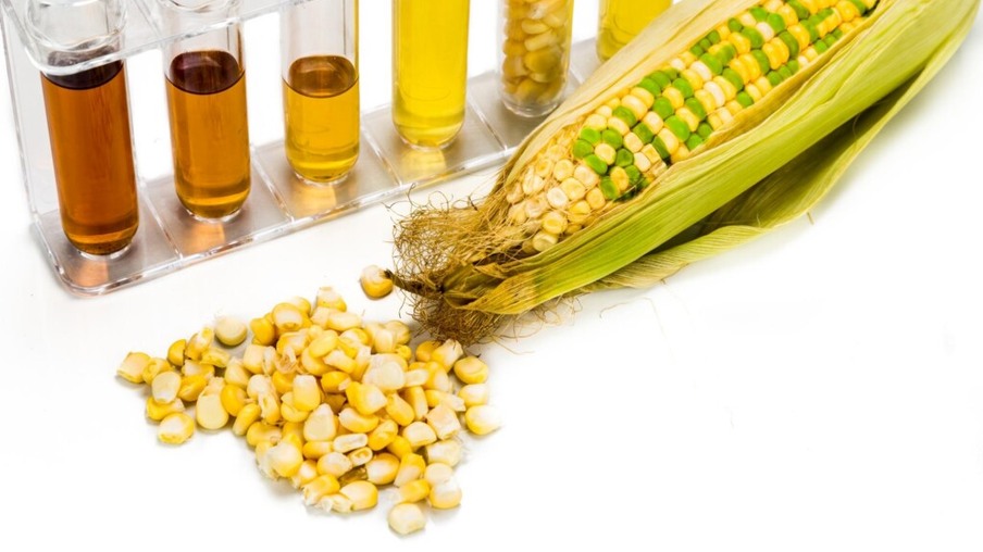 Inpasa recebe licença para operar 2ª planta de etanol de milho