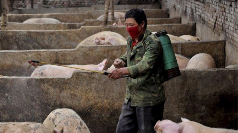 China confirma segundo caso de peste suína africana