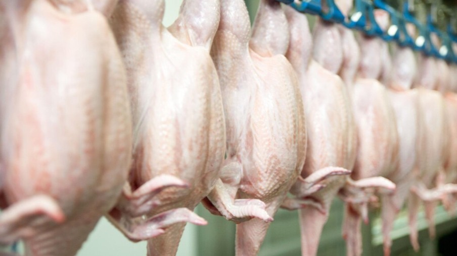 Brasil exporta 1,3% mais frango no ano, mas receita cai 12,1%