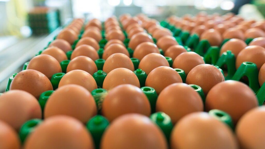 Preços dos ovos caem, mas média de abril é recorde