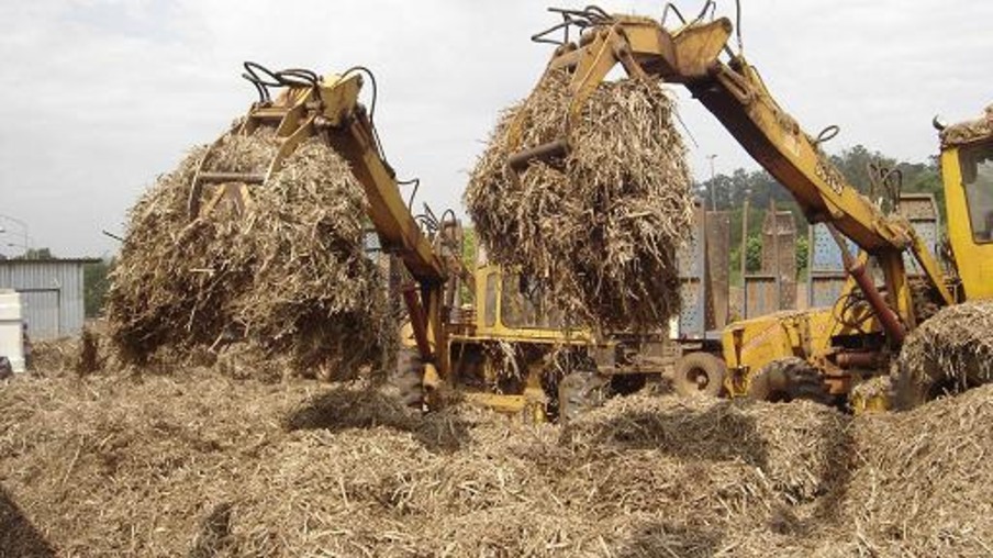 Biomassa da cana-de-açúcar tem potencial para se tornar a principal fonte de geração de energia elétrica em SP