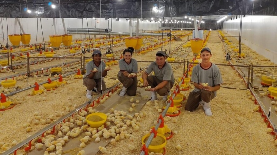 Condomínio Avícola Relvado é o último a alojar e encerra fase de obras