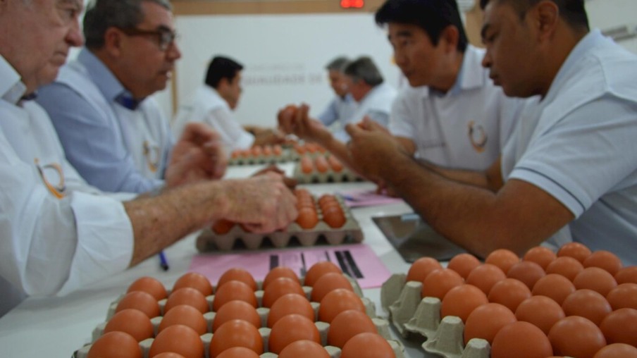 Granja Higashi é campeã em ovos brancos e vermelhos