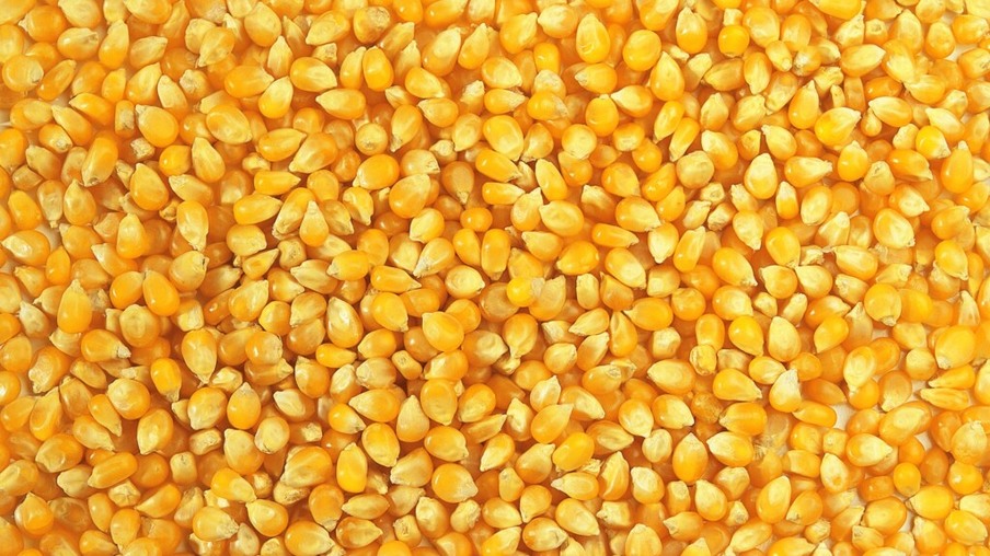 China faz maior compra de milho dos EUA desde janeiro