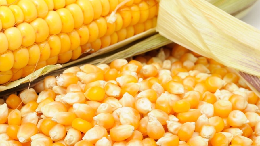 Preço do milho segue firme no mercado interno