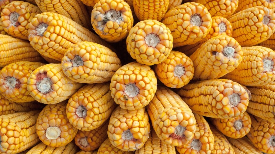México amplia importação de milho do Brasil