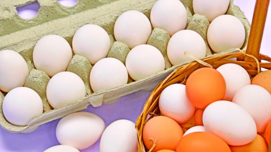 Caixas de ovos estão até R$ 50 mais caras que em 2019