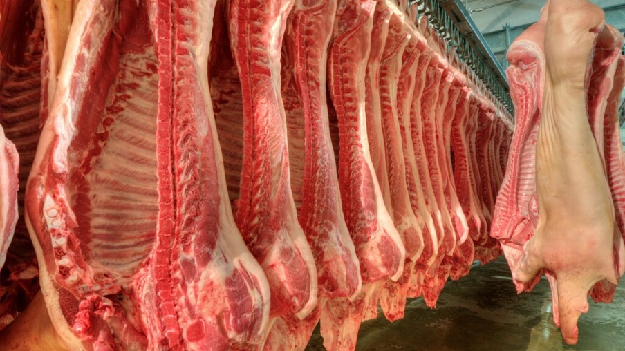 Vendas de carne suína chegaram a US$ 110,19 milhões
