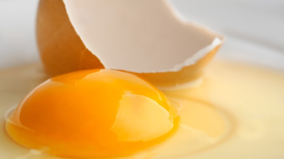 Coloração da gema do ovo não garante que ele seja caipira
