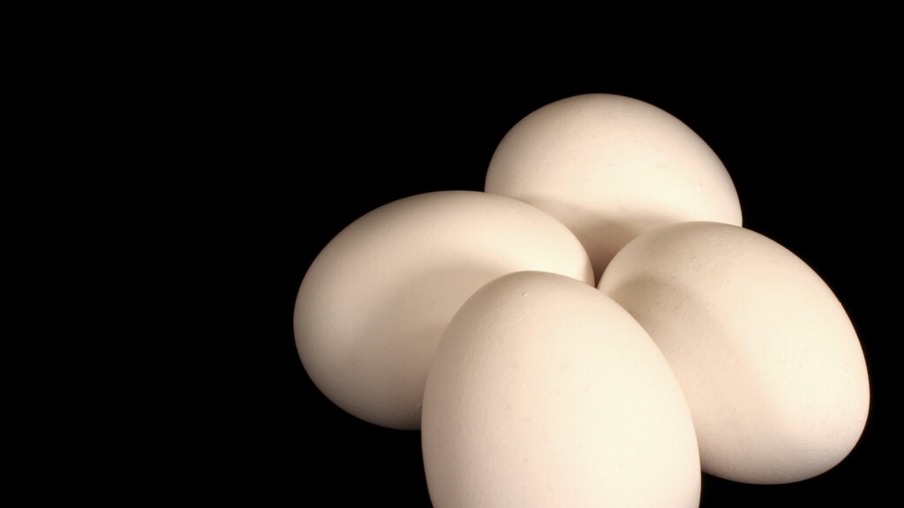 Nova York acusa produtores de ovos de aumento de preço na pandemia