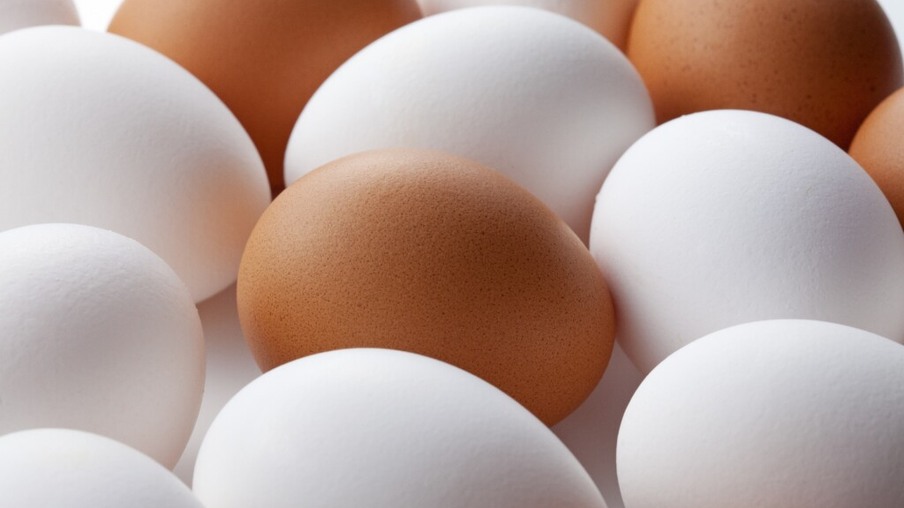 Preços dos ovos recuam até 7,27% em SP no período de um ano