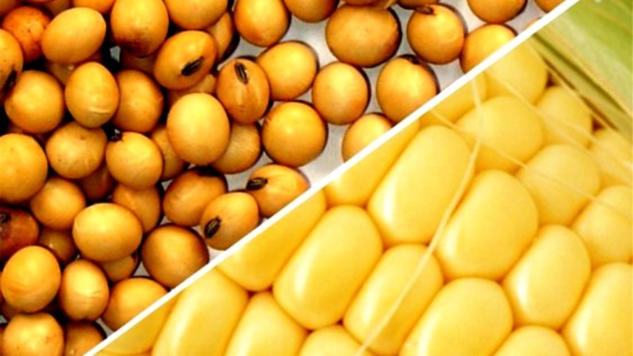 Milho e soja caros elevarão comércio agrícola dos EUA com China a novas máximas