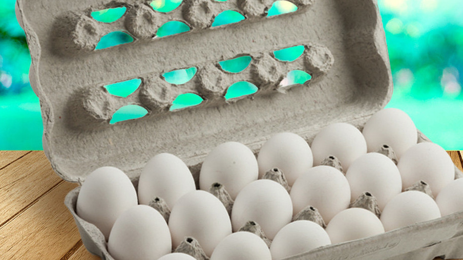 Com embalagem biodegradável, estojo para 18 ovos é lançado