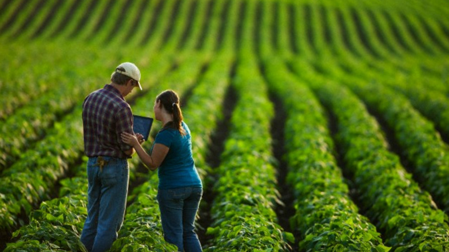 Valor da Produção Agropecuária é estimado em R$ 530,1 bi