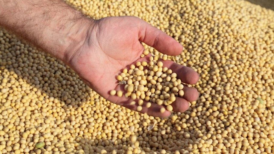 Com oferta retraída, cotação da soja se mantém elevada no mercado