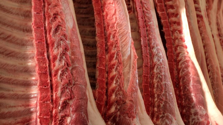 Análise prevê crescimento de até 5% nas exportações de carne suína em 2018