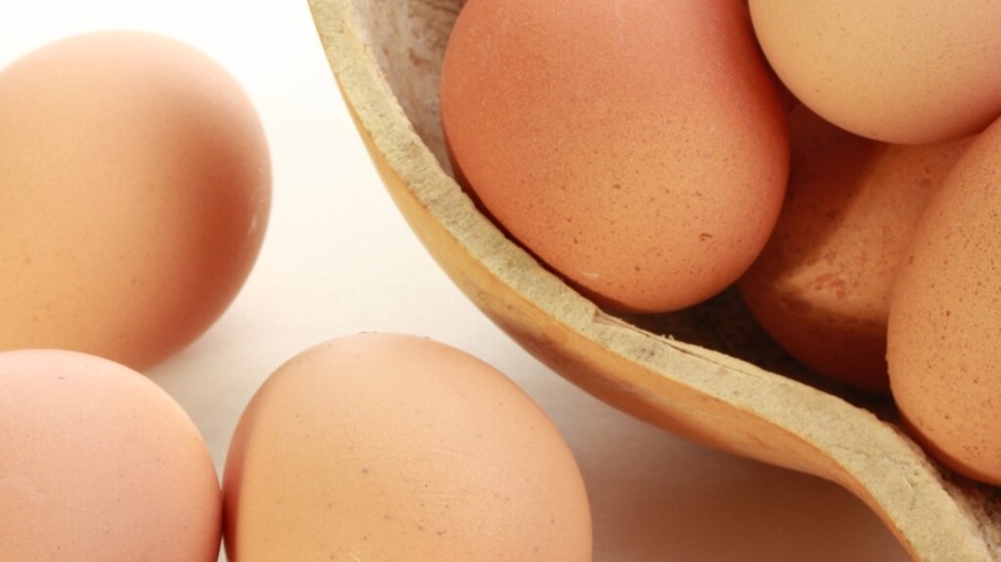 Produção de ovos no Paraná cresce e chega a 292 milhões de dúzias