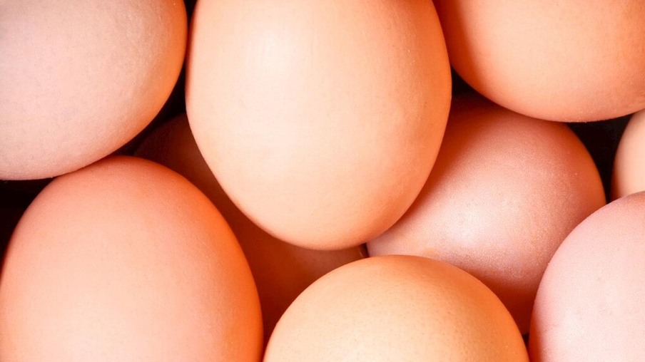 Valor dos ovos comerciais segue estável neste início de mês