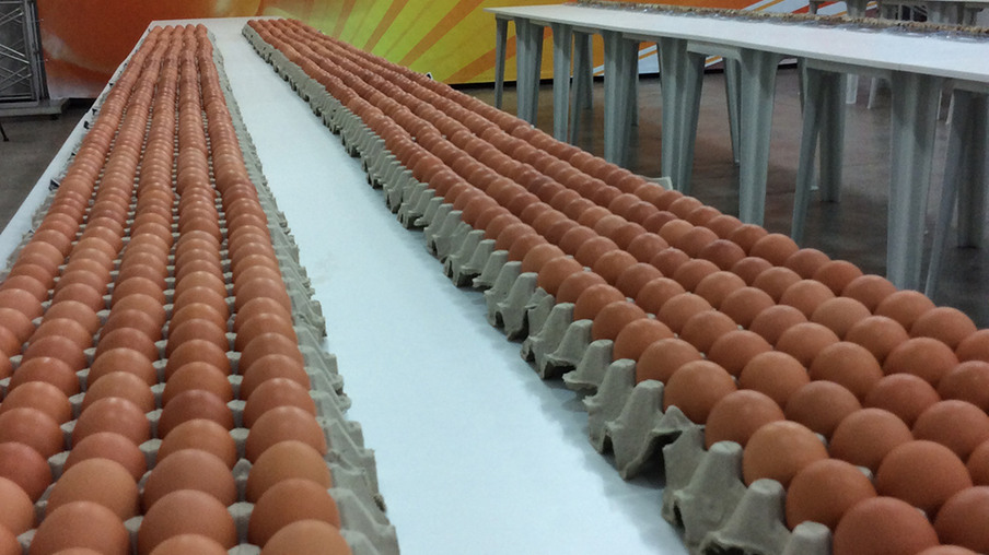 Comissão divulga o regulamento 2018 do Concurso de Qualidade de Ovos