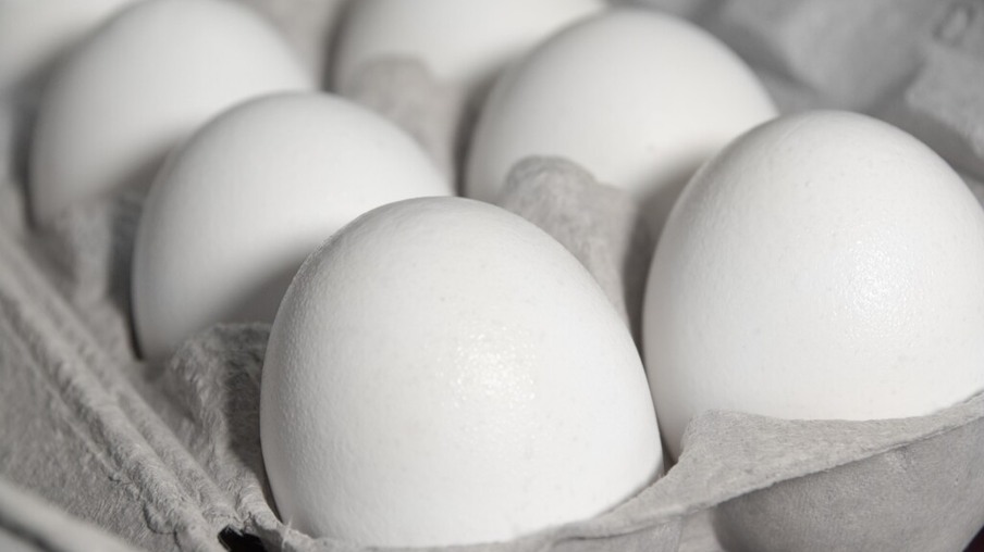 Preços dos ovos caem pelo terceiro mês seguido, aponta Cepea