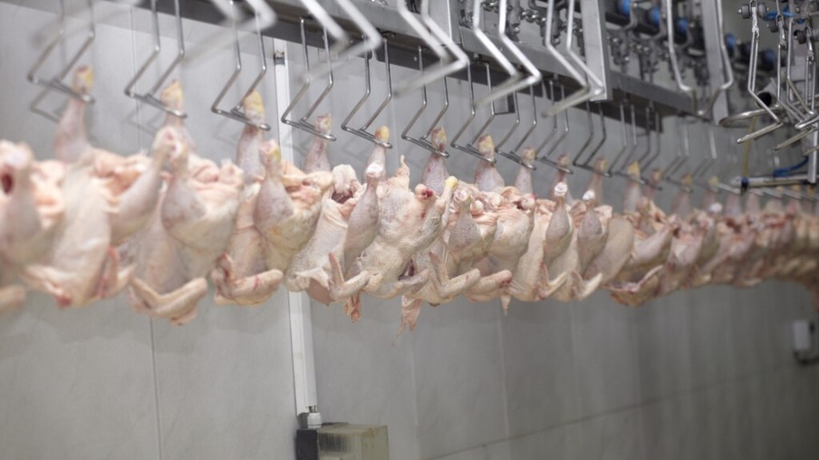 Abate de frangos em 2017 diminui e chega a 5,8 bi de cabeças
