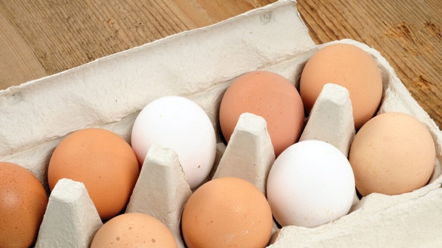 Valor do ovo vermelho tem alta sobre o ovo branco nesta semana