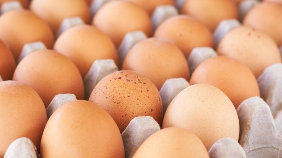 Ovos: preços se mantêm em queda neste início de mês