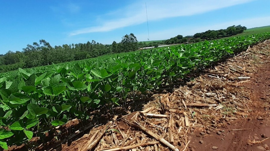 Região Oeste do Paraná é modelo em agricultura conservacionista