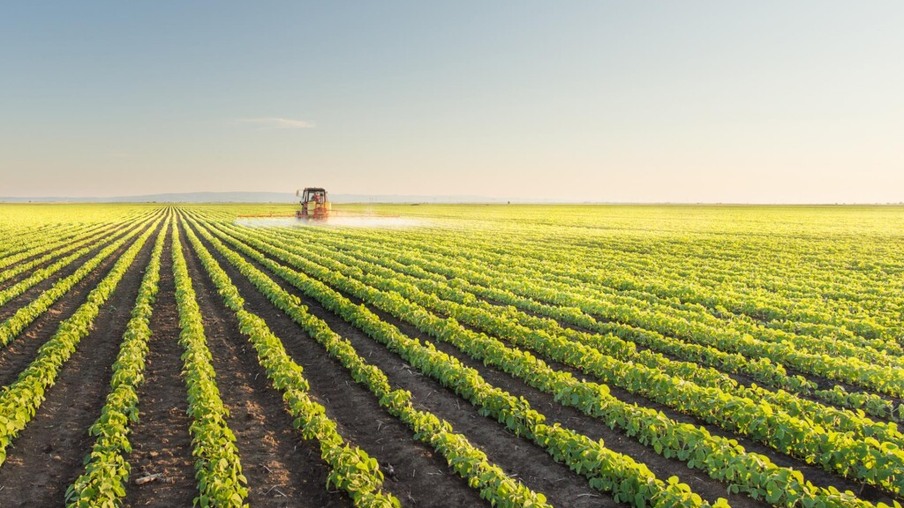 Paraguai uma "Pérola" da agricultura latino-americana