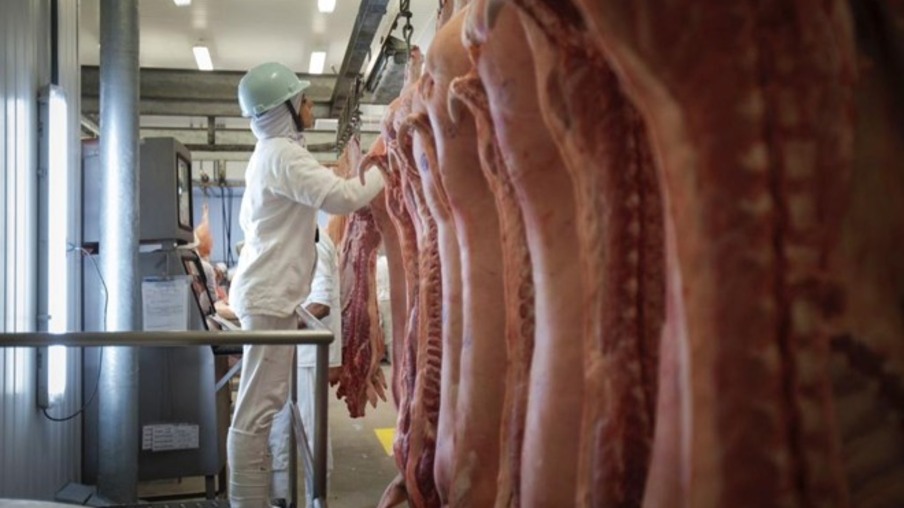 Receita com exportação de carne suína cresce quase 16% em 2017