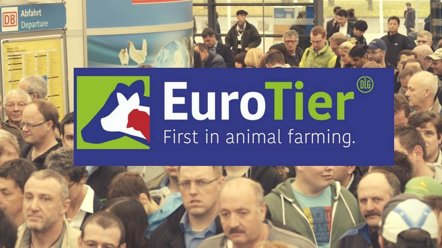 Maior feira de produção animal da Europa busca parcerias estratégicas na AveSui 2018
