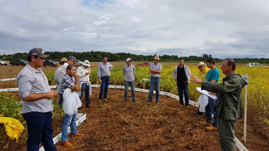 Cooperativa investe em pesquisas de perfil de solo em Tocantins