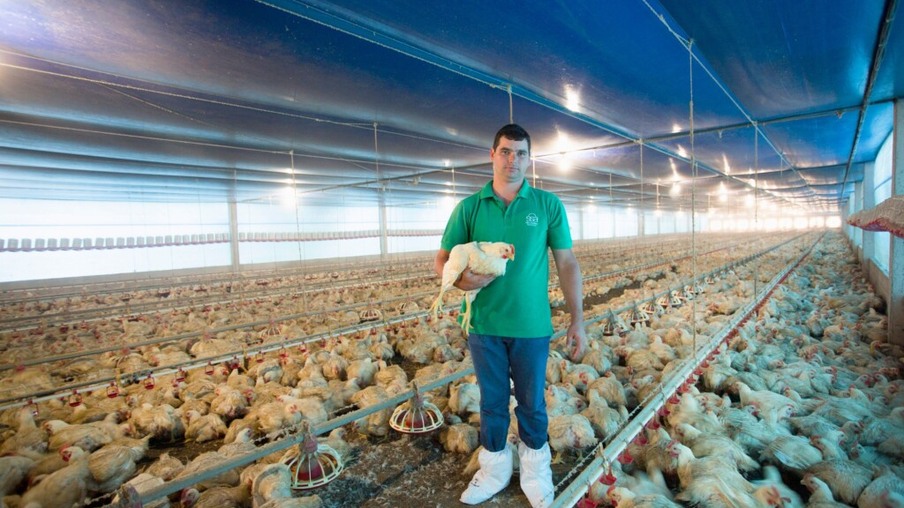 Mobilidade confere maior eficiência aos processos em produção avícola
