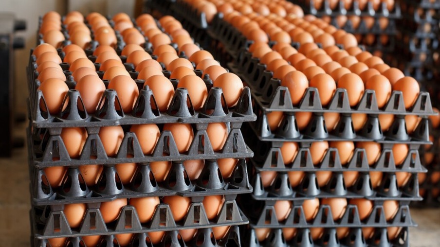 Poder de compra de ovos do avicultor recua frente ao milho, mas aumenta frente ao farelo