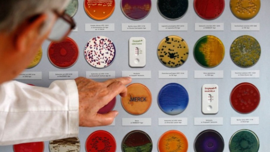 Tecnologias baseadas em microbioma devem movimentar mercado de bilhões de dólares