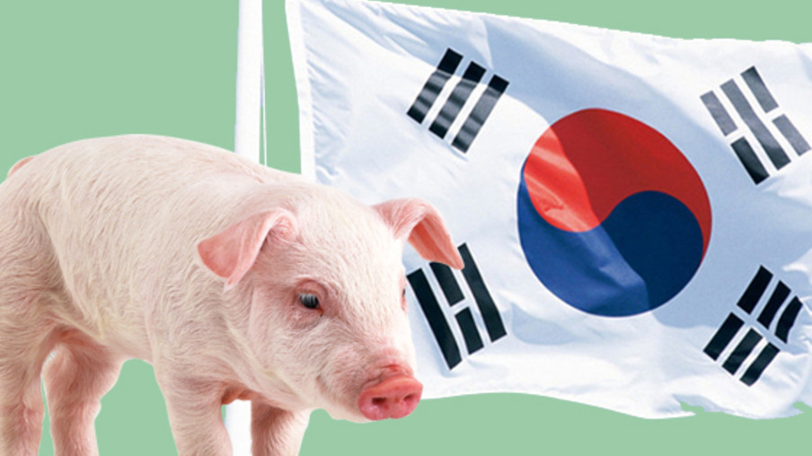Setor comemora abertura da Coreia do Sul à carne suína