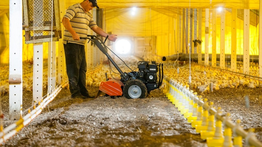 Equipamentos auxiliam o manejo da cama aviária para maior eficiência na produção