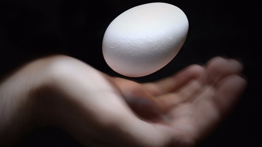 Cientistas criam ovos com medicamentos para tratar o câncer