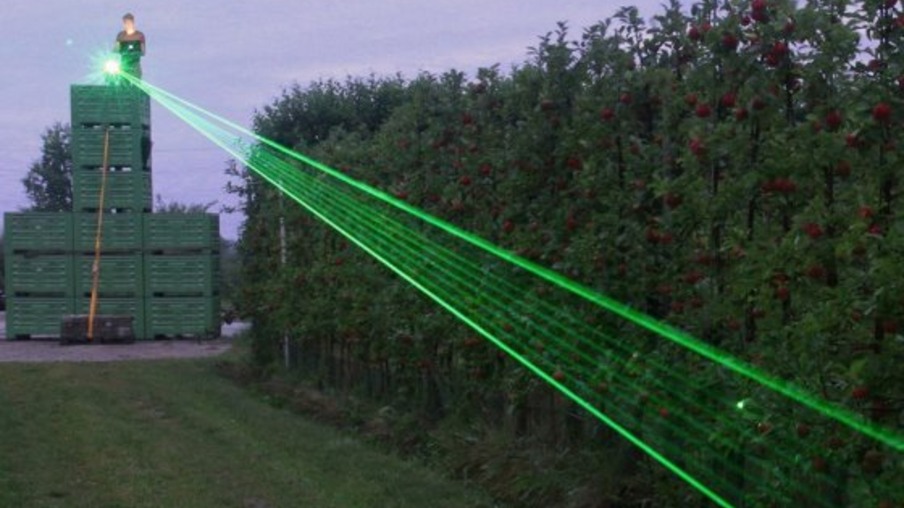 Para manter produção livre de doenças, avicultor usa laser que afasta aves selvagens