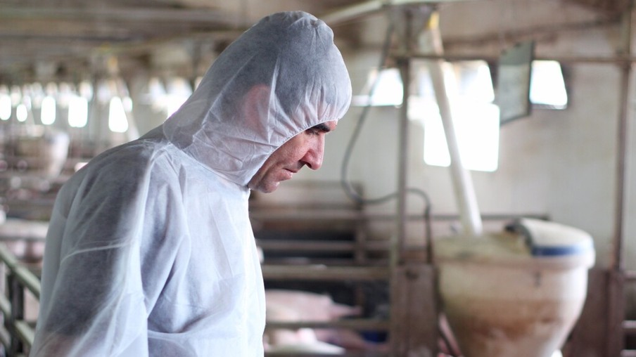 China inicia inspeções de emergência em fazendas após surto de peste suína