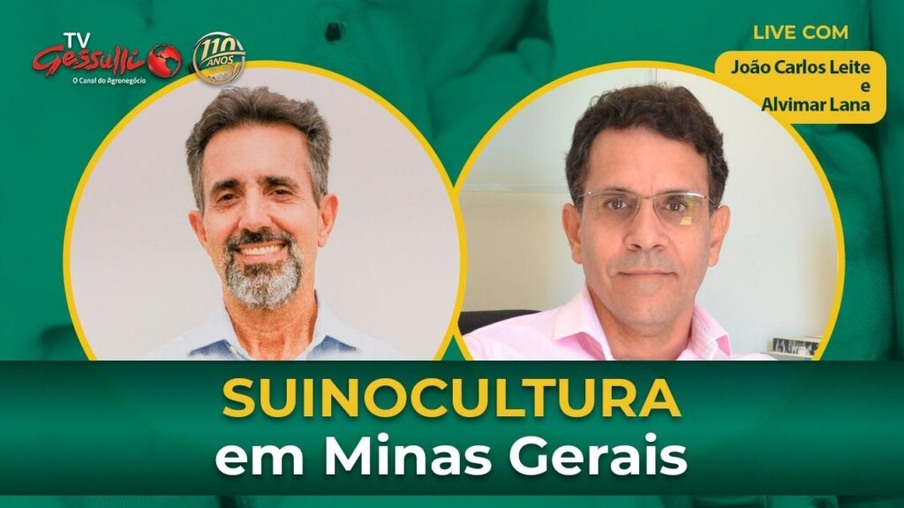 Panorama e mercado da suinocultura no estado de Minas Gerais, com ASEMG